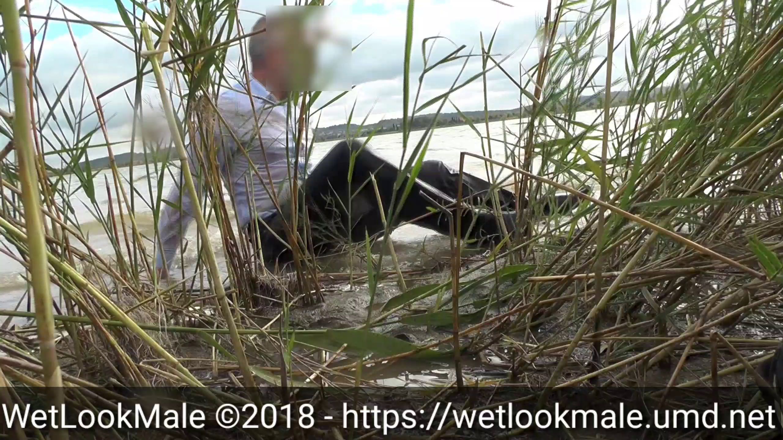 through-the-reeds_main.jpg