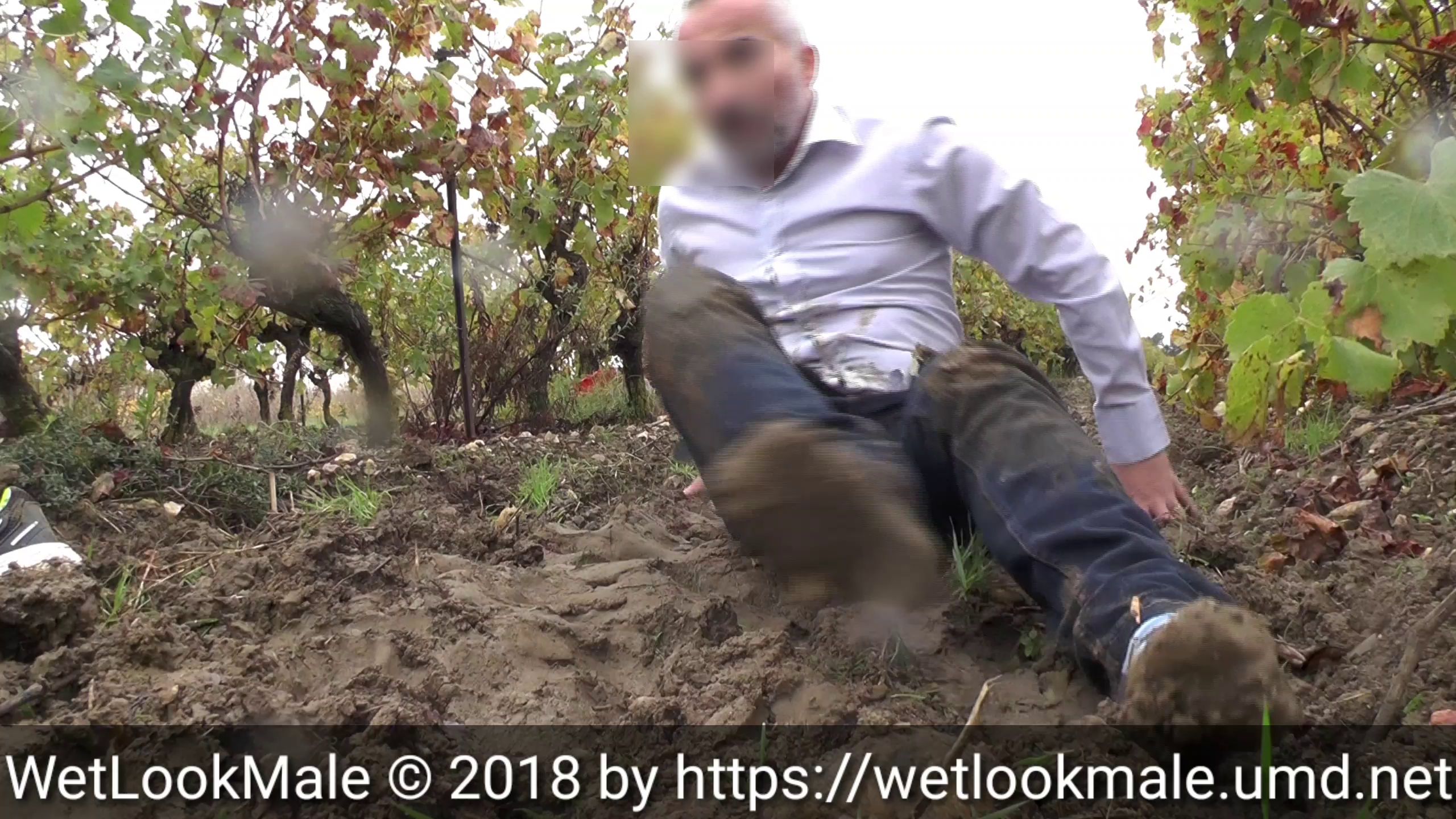 walk-in-the-vineyards_main.jpg